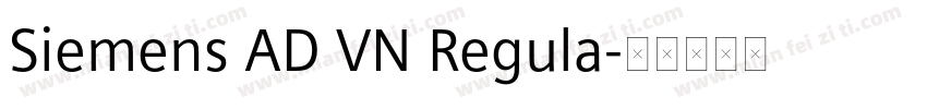 Siemens AD VN Regula字体转换